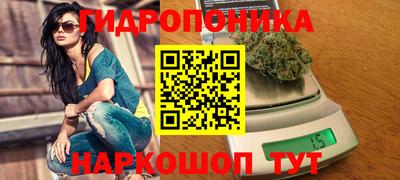 сатива Балаково