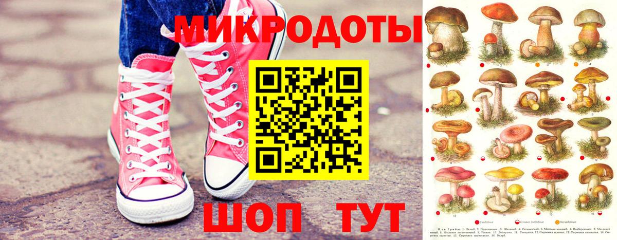 Галлюциногенные грибы Psilocybe  Вход с VPN  Великий Устюг 