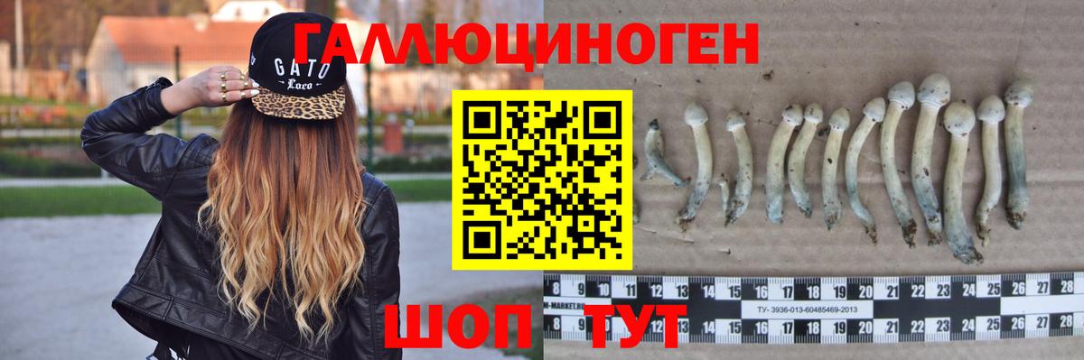 Псилоцибиновые грибы GOLDEN TEACHER Великий Устюг